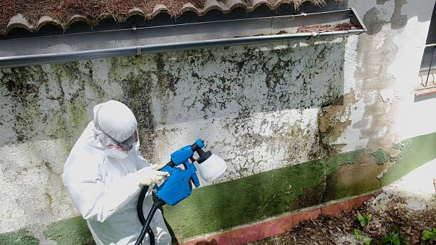 Mold Remediation service in Scotch Plains, Scotch Plains, NJ